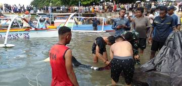 Meninggal Saat Bajubi, Yotam Ditemukan Lengkap Dengan ' Alat Snorkling '