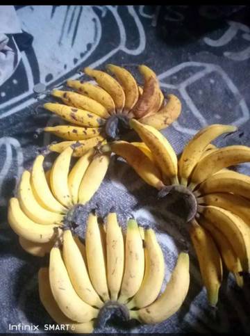 Mitos Dan Fakta Buah Pisang