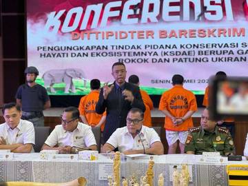 Dittipidter Ungkap Perdagangan Ilegal Gading Gajah