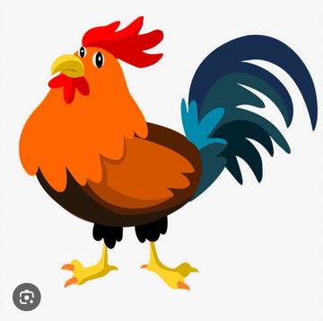 Khasiat Jamu bagi Ayam