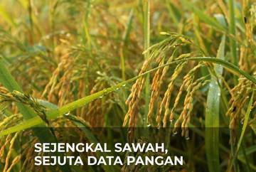 Sejengkal Sawah Cerminkan Ketahanan Pangan Sulawesi Utara