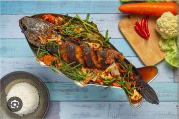 Ikan Lele Solusi Gizi Murah Dan Cegah Stunting