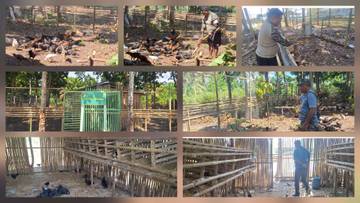 ​Kodim 1312/Talaud Gencarkan Hanpangan Melalui Budidaya Ayam Kampung
