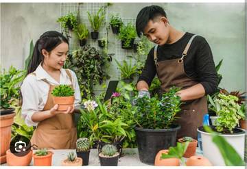  Manfaat Berkebun Di Rumah