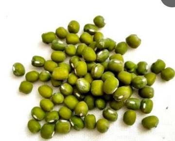 Manfaat Kacang Ijo 