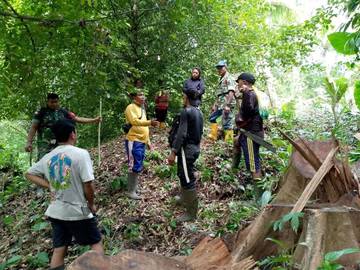 ​Babinsa Mediasi Kasus Penebangan Pohon Ilegal di Bulude