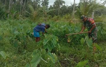 ​Tentara Bantu Warga Bersihkan Kebun di Bitunuris