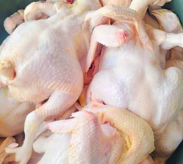 Jelang Imlek Dan Ramadhan Daging Ayam Broiler Naik