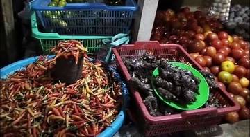  Harga Cabai Dan Tomat Naik Signifikan