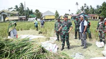 TNI Dukung Ketahanan Pangan dan Kesejahteraan Petani