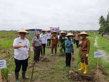 Imigrasi Sumut Dorong Ekonomi Produktif Lewat Penanaman Kelapa 