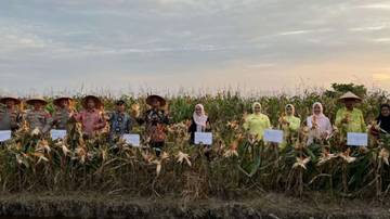 Pemkot Tanjungbalai Targetkan Swasembada Pangan