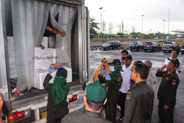 Perdana, Karantina Kepri Lepas Ekspor Ikan Anggoli ke Hawai