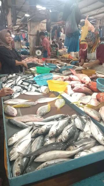 Laut Luas, Ikan Langka dan Mahal