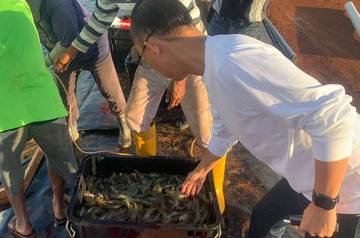 Tambak Udang Lingga Berinovasi dengan IPAL