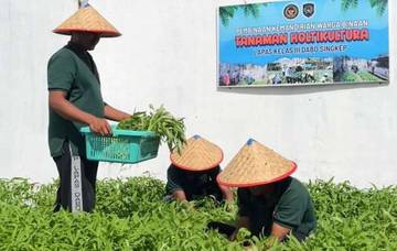 WBP Lapas Dabo Panen 100 Ikat Kangkung