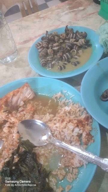 Gulai Siput Sedut Makanan Khas Kaya Protein