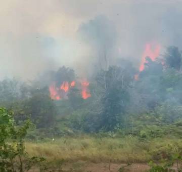 Asap Tebal Selimuti Senggarang Akibat Kebakaran Lahan