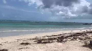 Pengelola Wisata Pantai Trikora Keluhkan Pencemaran Limbah Minyak