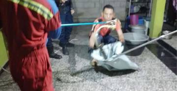 Damkar Lingga Evakuasi Ular Cincin Emas