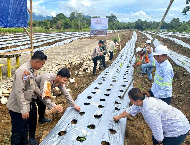 Polsek Malinau Selatan dan AMNK Gelar Penanaman Jagung