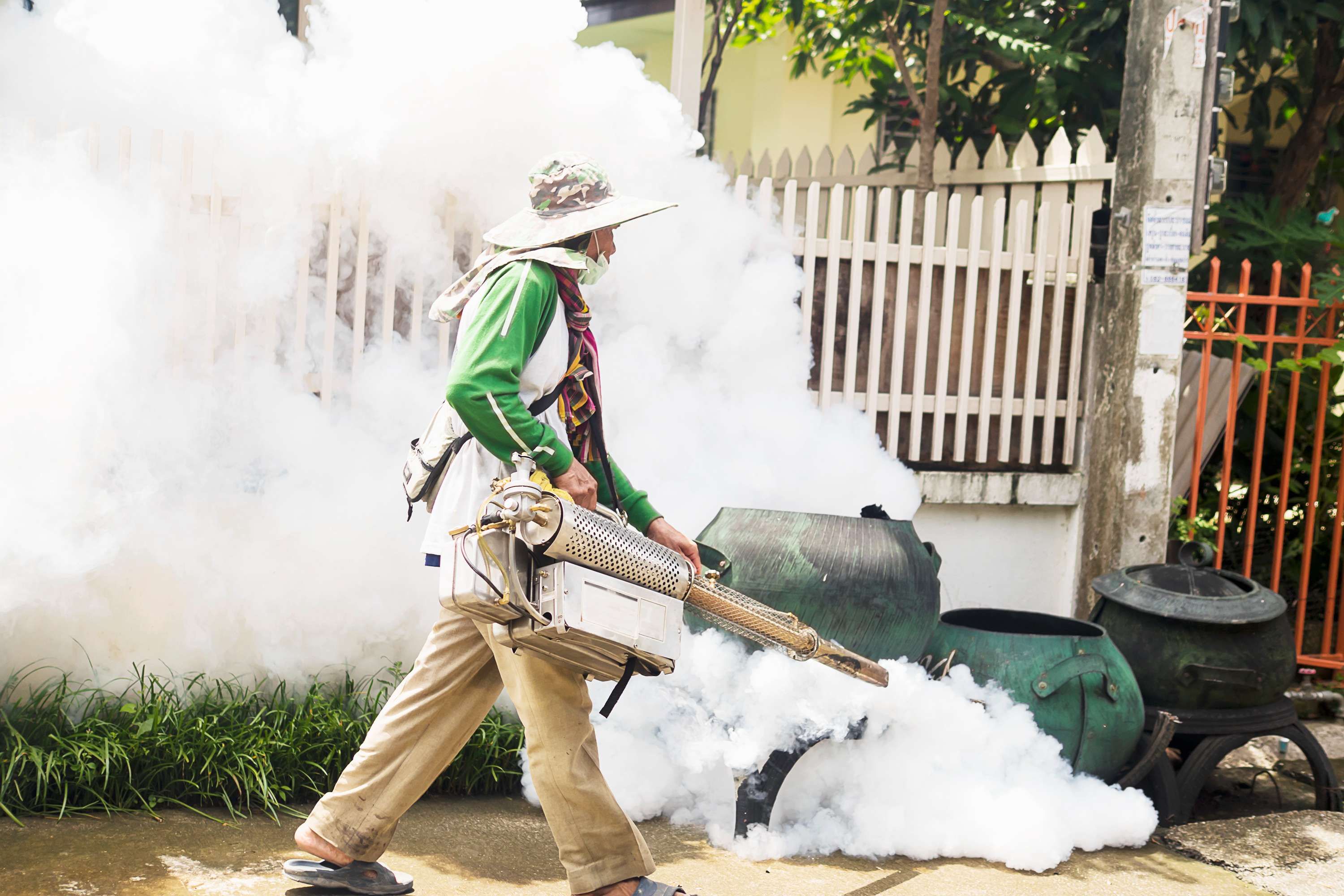 Syarat Pelaksanaan Fogging yang Perlu Masyarakat Ketahui - RRI.co.id
