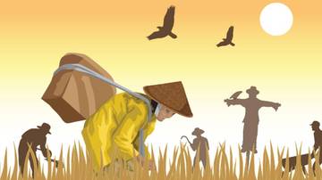 Di Balik Setiap Suapan, Ada Kerja Keras Para Petani