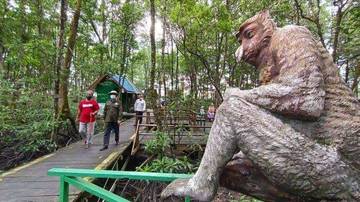 Kawasan Konservasi Mangrove dan Bekantan Tempat Favorit Liburan