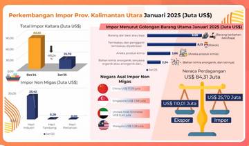 Perkembangan Impor Provinsi Kalimantan Utara Januari 2025