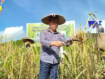 Geliat Ketahanan Pangan Bulungan Diatensi Dewan