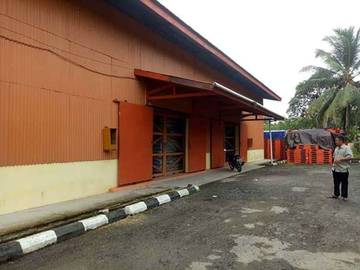 Bulog Serap 100 Ton Gabah Pasca Panen