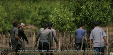 Kisah Petambak Kaltara Menjaga Ekosistem dari Garis Pantai