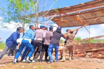 Tim Gabungan Tertibkan Arena Judi Sambung Ayam