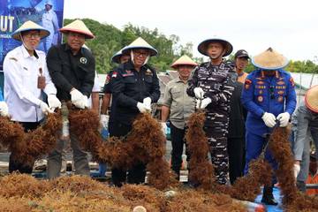Panen Raya Rumput Laut, Kemandirian Ekonomi Masyarakat Pesisir