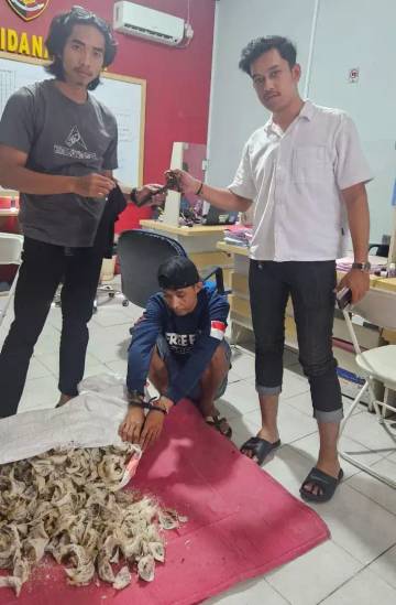 Pencuri Sarang Walet Ditangkap, Hasilnya Dipakai Bermain Slot