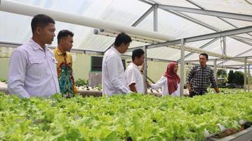 Pengabdian Kepada Masyarakat ke Petani Hidroponik di Tarakan
