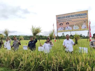 Pemprov Diminta Tingkatkan Program Ketahanan Pangan