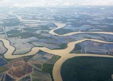 DPRD Kaltara Minta Pusat Percepat Pemutihan Lahan Tambak