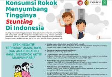 Rokok Penyebab Tingginya Angka Stunting Di Tarakan