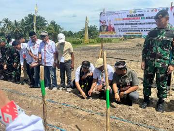 Penanaman Jagung, Dukung Swasembada Pangan Kaltara