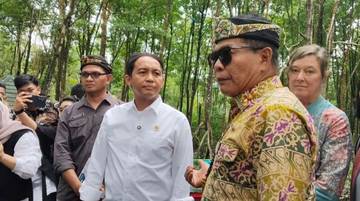 Menhut Dukung Konservasi Mangrove di Kaltara