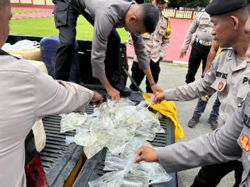 Polres Halsel Amankan Puluhan Liter Miras Cap Tikus