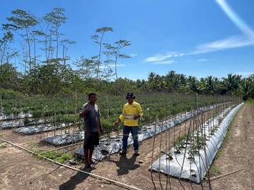 Om Munir, Petani Hortikultura yang Menuai Asa Bersama NHM
