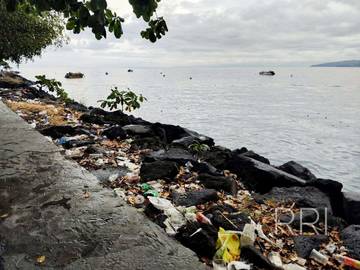 Para Ahli Ilmiah Menyampaikan Bahaya Polusi Plastik 