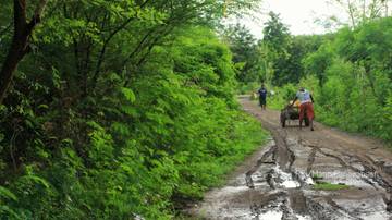 Krisis Air dan Secercah Harapan di Selatan Timor