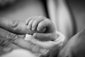 Temuan Bayi Laki-Laki Kembali Gegerkan Warga Kastela