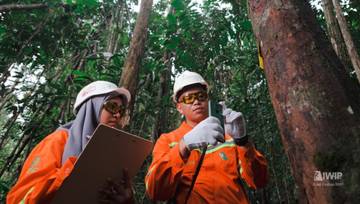 Weda Bay Nickel Sukses Rehabilitasi 4.140 Hektare DAS
