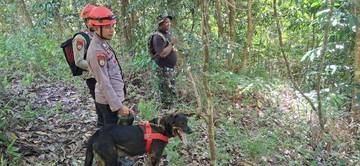 Anjing Pelacak Cari Lansia Hilang di Oba Utara