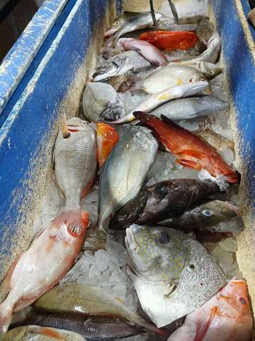Simak Berbagai Teknik Mengolah Ikan Agar Lebih Sehat