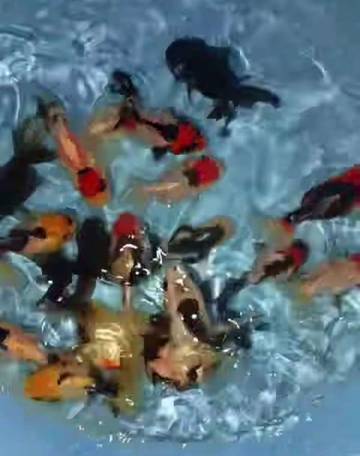 Pemuda Tolitoli Raup Untung dari Ikan Hias